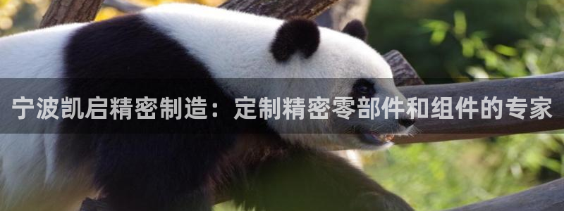 彩神官方网站登录是多少：宁波凯启精密制造：定制精密零部件和组件的专家