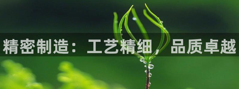 彩神大发云