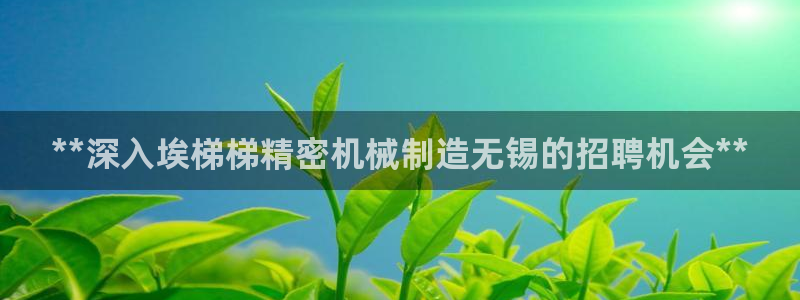 彩神网合法吗：**深入埃梯梯精密机械制造无锡的招聘机会**