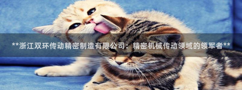 彩神vl购彩大厅