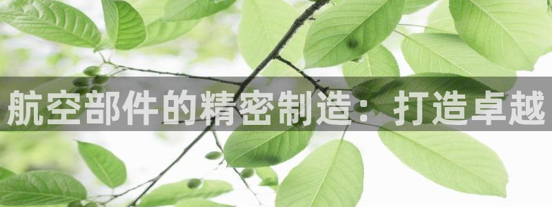 彩神邀请码:00-00-3267：航空部件的精密制造：打造卓越