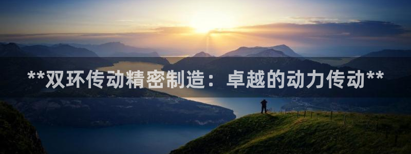 彩神网可以赚钱是真的吗：**双环传动精密制造：卓越的动力传动**