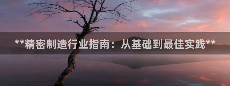 彩神8官网版是正规的吗：**精密制造行业指南：从基础到最佳实践**