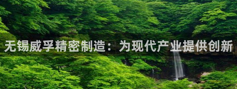 彩神V集团公司