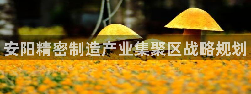 彩神争霸官方下载2017