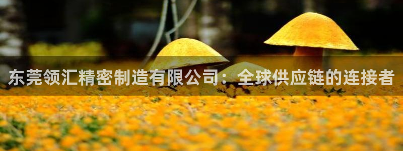彩神8彩平台客服：东莞领汇精密制造有限公司：全球供应链的连接者