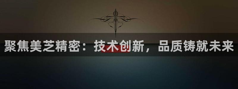 彩神velcome购彩大厅：聚焦美芝精密：技术创新，品质铸就未来
