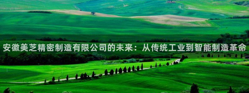 彩神v8手机客户端怎么下载：安徽美芝精密制造有限公司的未来：从传统工业到智能制造革命