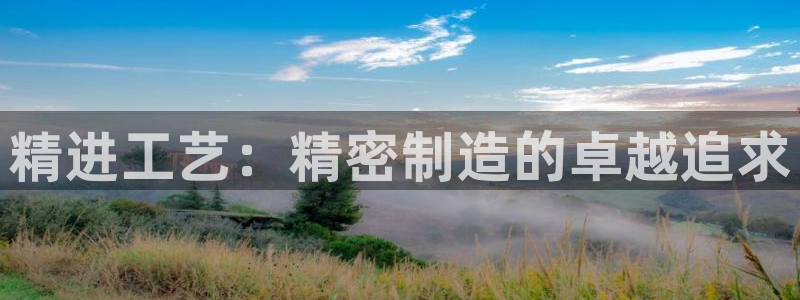 彩神vlll官方网：精进工艺：精密制造的卓越追求
