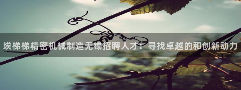 下载彩神通关注码