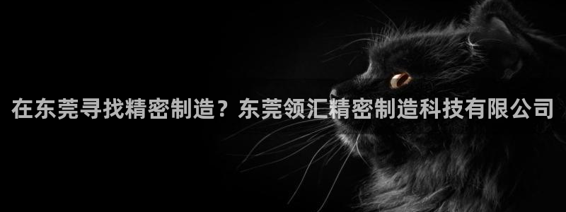 彩神官方登录：在东莞寻找精密制造？东莞领汇精密制造科技有限公司