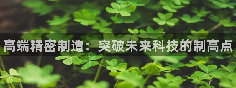 彩神app赚钱是真是假：高端精密制造：突破未来科技的制高点