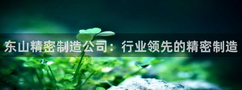 新版彩神v8登录不了：东山精密制造公司：行业领先的精密制造