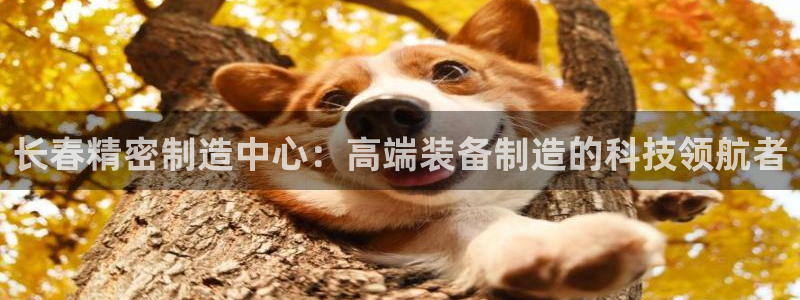 彩神ix可靠吗：长春精密制造中心：高端装备制造的科技领航者