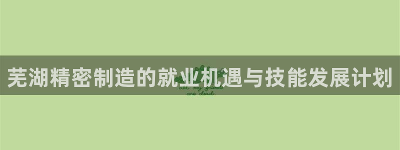 彩神输的钱是赌博还是诈骗：芜湖精密制造的就业机遇与技能发展计划