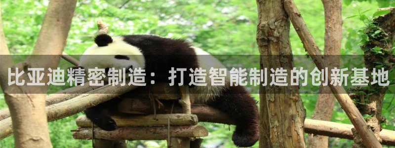 所有彩神购买首页都一样吗：比亚迪精密制造：打造智能制造的创新基地