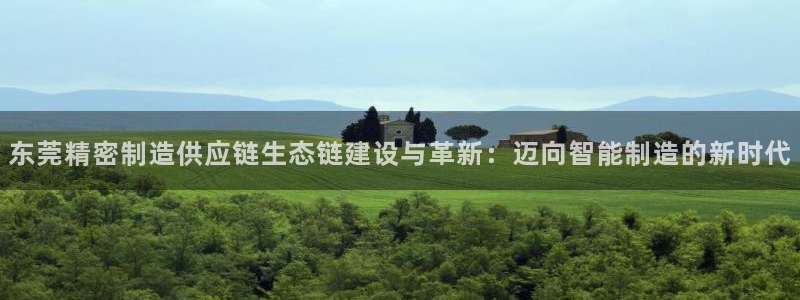 彩神vll官网在线登录：东莞精密制造供应链生态链建设与革新：迈向智能制造的新时代