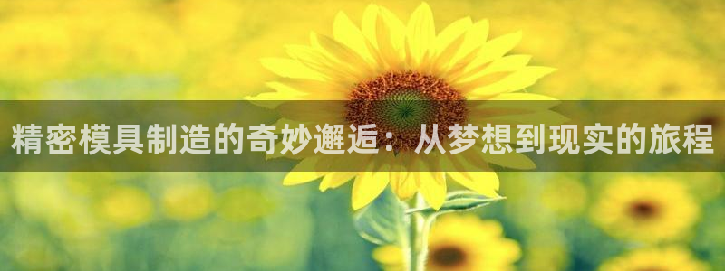 彩神争霸平台：精密模具制造的奇妙邂逅：从梦想到现实的旅程