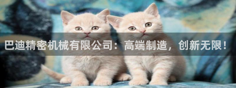 彩神客服电话：巴迪精密机械有限公司：高端制造，创新无限！