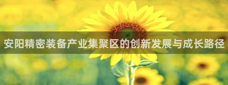 彩神vll购彩大厅：安阳精密装备产业集聚区的创新发展与成长路径