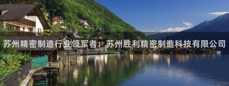 彩神vip官方网站：苏州精密制造行业领军者：苏州胜利精密制造科技有限公司