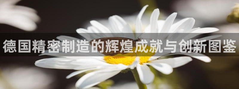 彩神V集团有限公司：德国精密制造的辉煌成就与创新图鉴