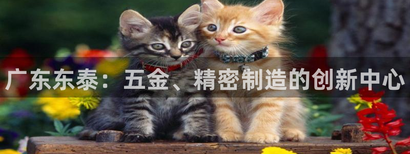 彩神v8几个版本：广东东泰：五金、精密制造的创新中心