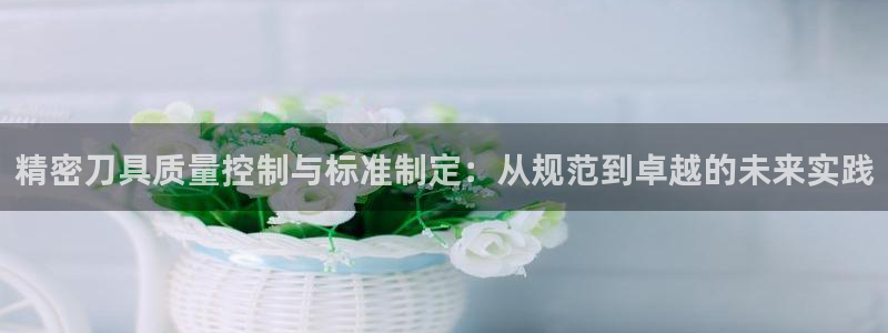 彩神怎么样可以提现：精密刀具质量控制与标准制定：从规范到卓越的未来实践