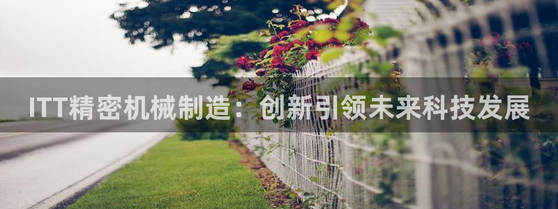 彩神v8是真的挣钱吗