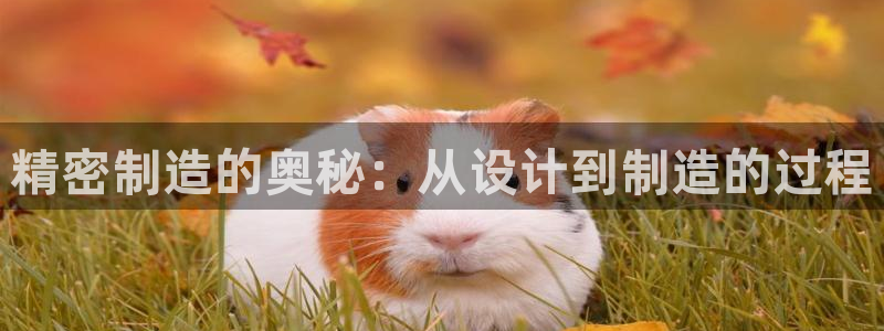 彩神输的钱是赌博还是诈骗：精密制造的奥秘：从设计到制造的过程