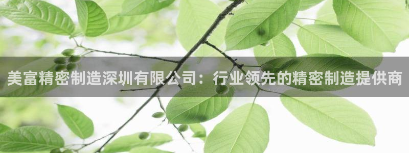彩神旗下有哪些平台可以看：美富精密制造深圳有限公司：行业领先的精密制造提供商