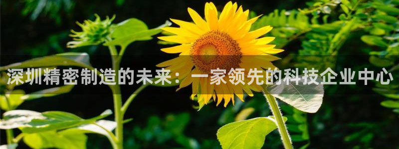 彩神是真的吗：深圳精密制造的未来：一家领先的科技企业中心
