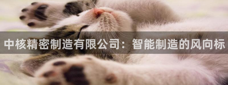 彩神vll趣投彩：中核精密制造有限公司：智能制造的风向标