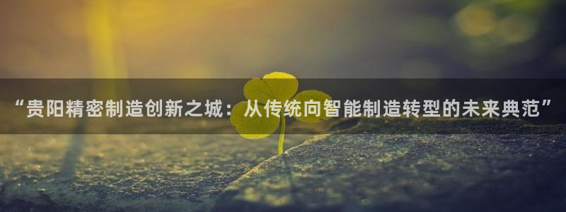 彩神网合法吗：“贵阳精密制造创新之城：从传统向智能制造转型的未来典范”