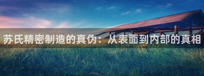 彩神vll首页环球：苏氏精密制造的真伪：从表面到内部的真相