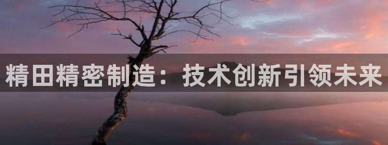 彩神是怎样一个平台赚钱的：精田精密制造：技术创新引领未来