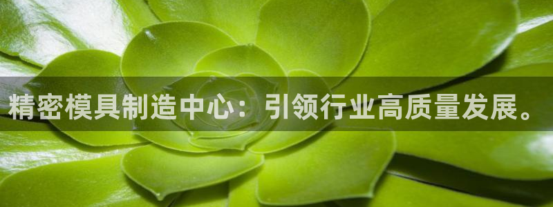 彩神8购彩-购彩大厅