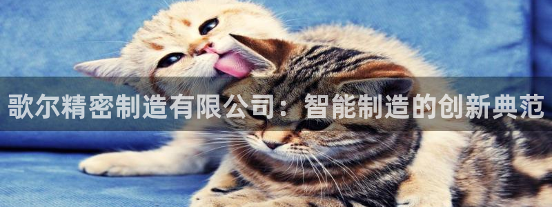 彩神viii下载安卓