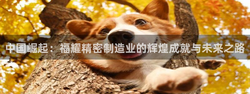 有谁知道彩神争霸的网址