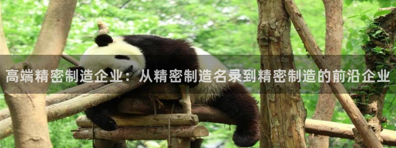 彩神8彩平台官网