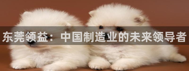下载彩神通关注码