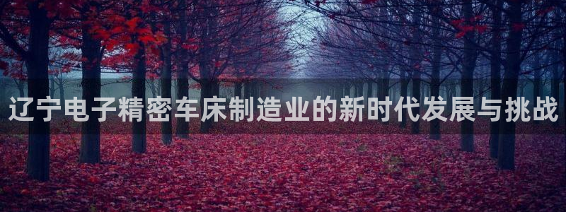 彩神v8官网版