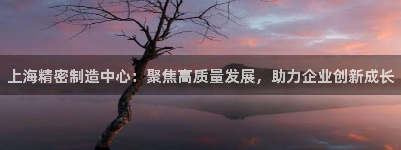 新版彩神v8登录