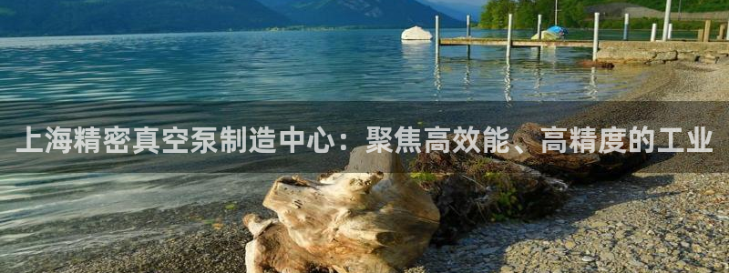 彩神大发黑平台