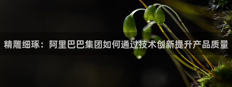 彩神xapp官方网站