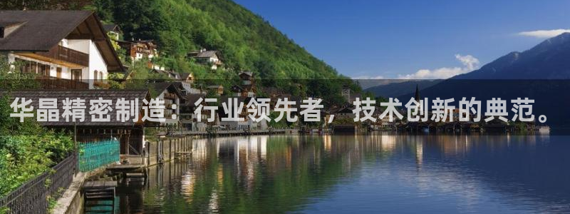 彩神数码科技有限公司：华晶精密制造：行业领先者，技术创新的典范。