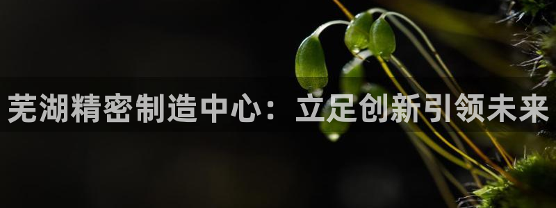 下载彩神乐发V1：芜湖精密制造中心：立足创新引领未来