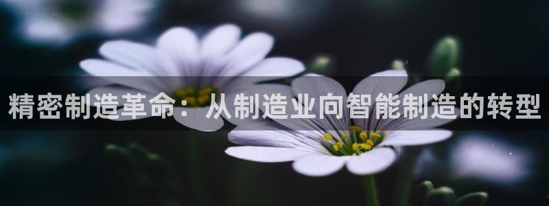 彩神v8下载app5.0：精密制造革命：从制造业向智能制造的转型
