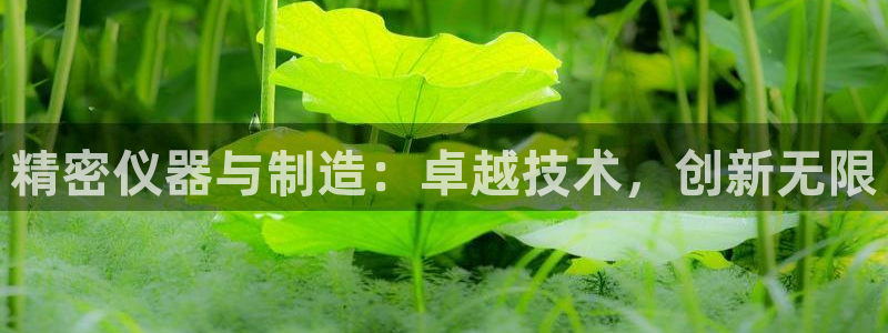 彩神购彩-购彩大厅入口老版：精密仪器与制造：卓越技术，创新无限