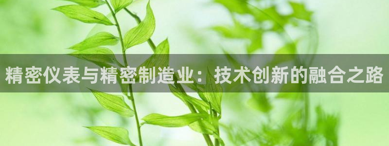 彩神大发云：精密仪表与精密制造业：技术创新的融合之路